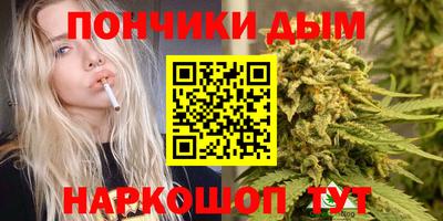 индика Краснокаменск