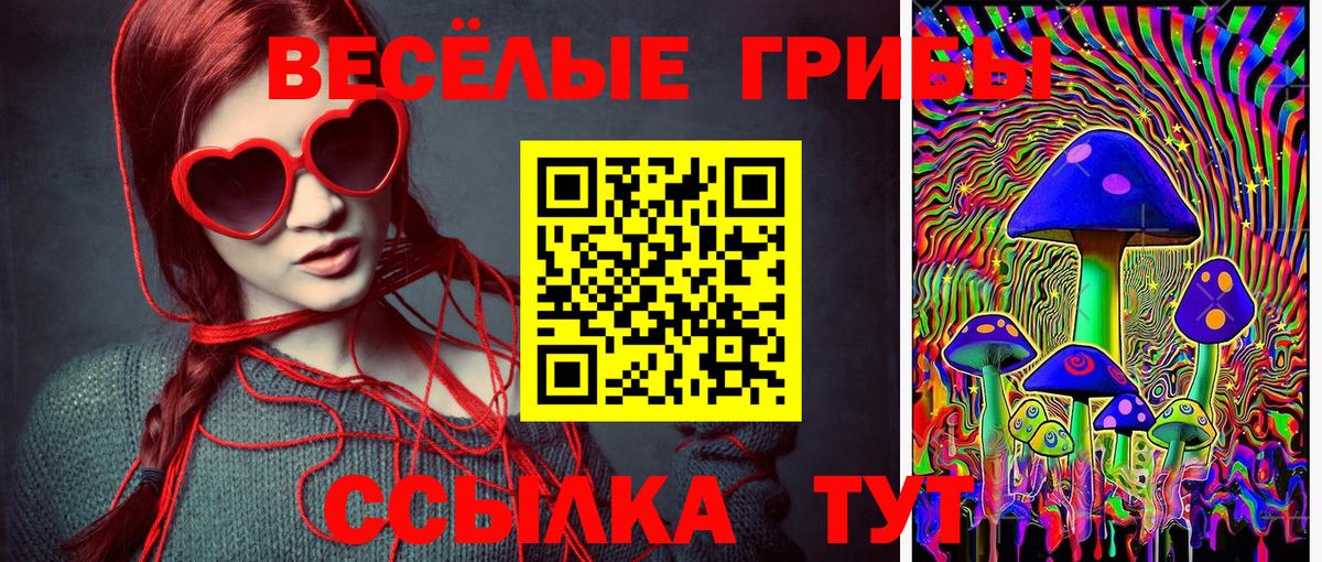 Псилоцибиновые грибы MAGIC MUSHROOMS Донецк