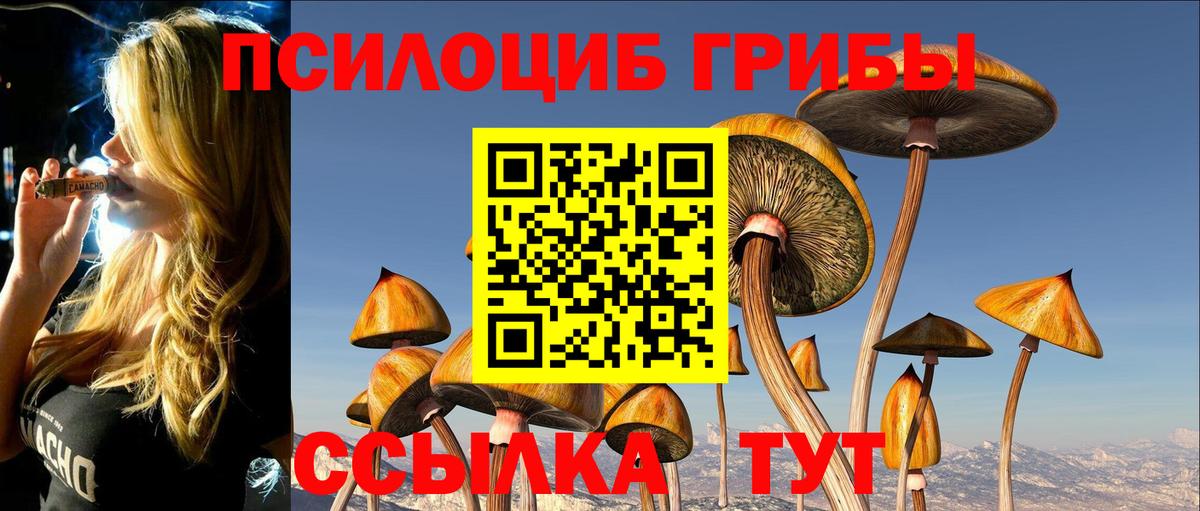 Донецк  Галлюциногенные грибы Psilocybine cubensis  Вход с VPN 